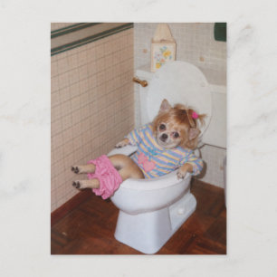 Carte Postale Le triomphe aux toilettes du Chihuahua rétro d'Hea