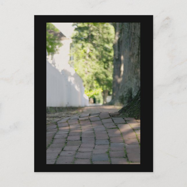 Carte Postale Le trottoir colonial (Devant)