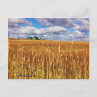 Carte Postale Le vaste Colorado