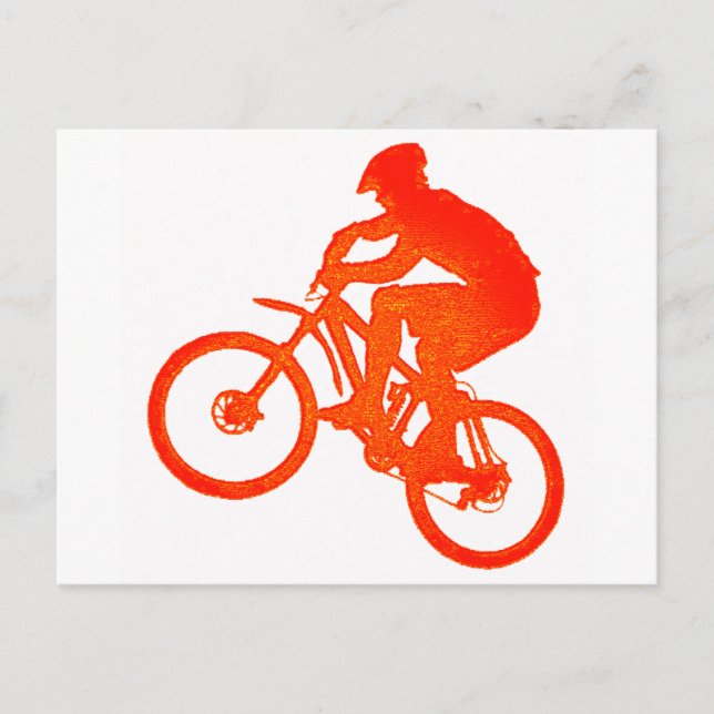 Carte Postale Le Vélo S'Est Élevé (Devant)