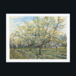 Carte Postale Le Verger Blanc (F403) Van Gogh Fine Art<br><div class="desc">White Orchard,  Vincent van Gogh 1888. Amsterdam. F 404</div>