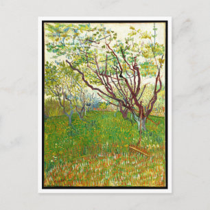 Carte Postale Le verger en fleurs par Vincent Van Gogh (1888)