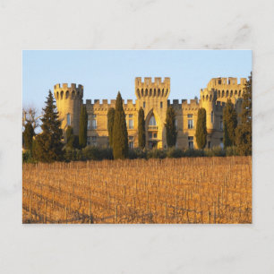 Carte Postale Le vignoble aux pins sylvestres et le château