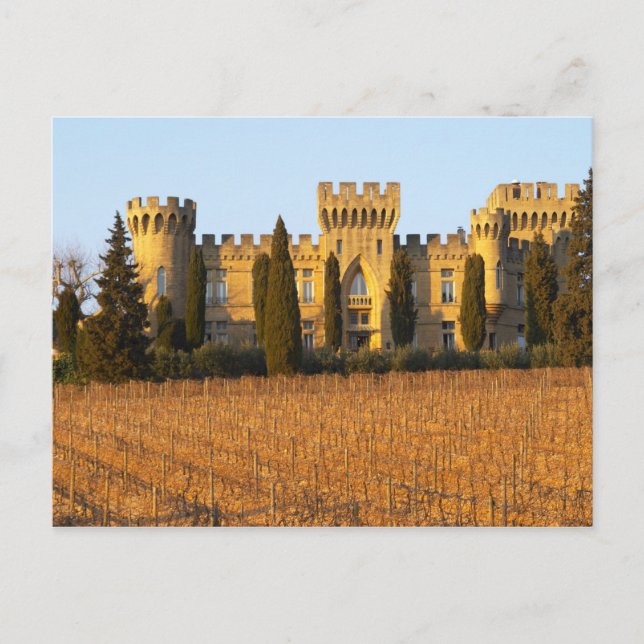 Carte Postale Le vignoble aux pins sylvestres et le château (Devant)