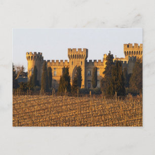 Carte Postale Le vignoble avec des vignes de syrah et le château