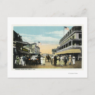 Carte Postale Le vignoble de Martha