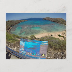 Carte Postale Le volcan de la baie Hawaii Hanauma