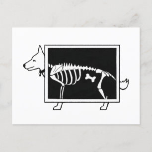 Carte Postale Le X-Ray du chien