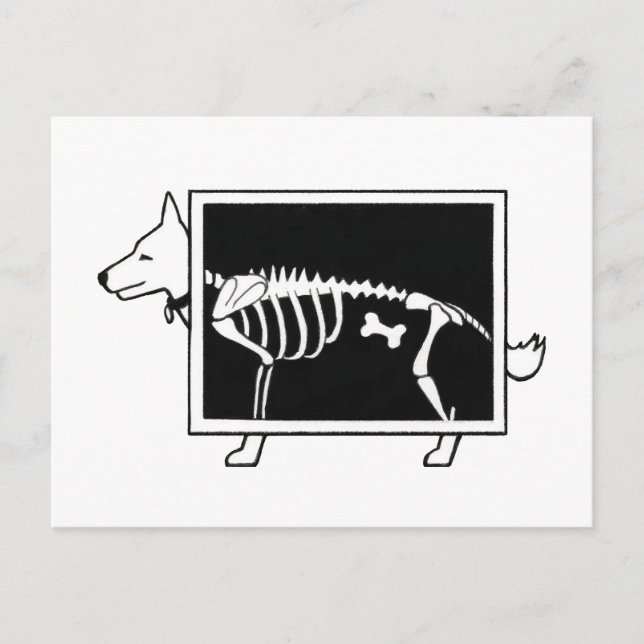 Carte Postale Le X-Ray du chien (Devant)