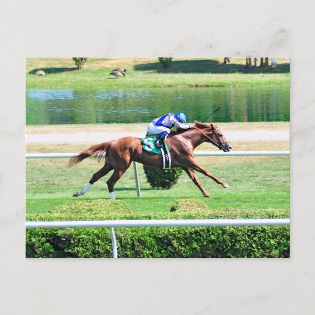 Carte Postale Lea - Colt de châtaignier gagnant des prises (Devant)