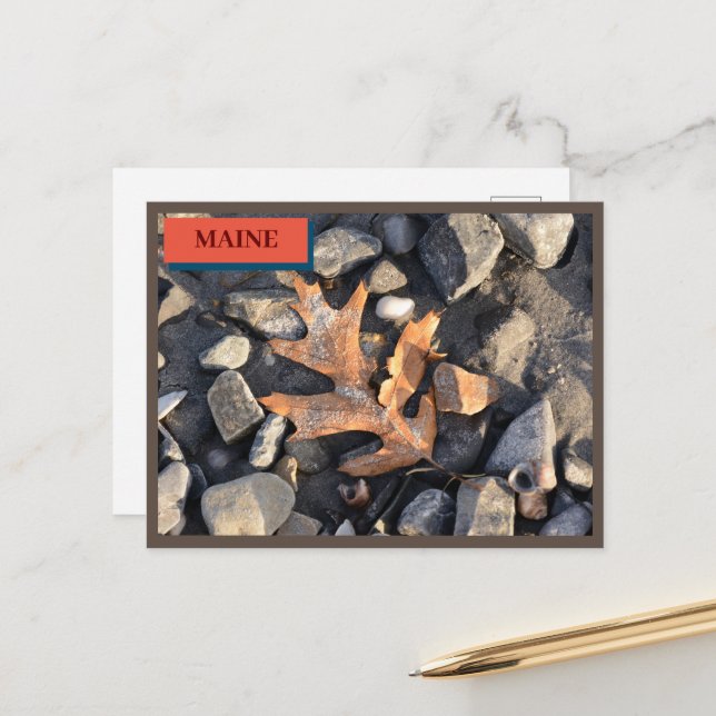 Carte Postale Leaf Stones Coques Seapoint Beach Maine Nature (Devant/Arrière en situation)