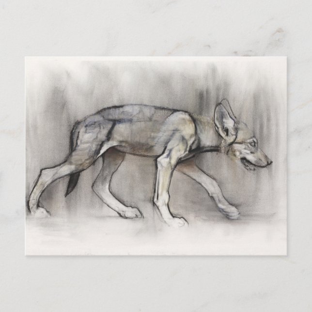 Carte Postale Lean Pup (Devant)