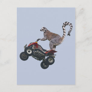 Carte postale Leaping Lemur