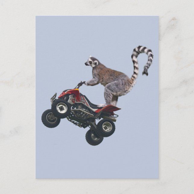 Carte postale Leaping Lemur (Devant)