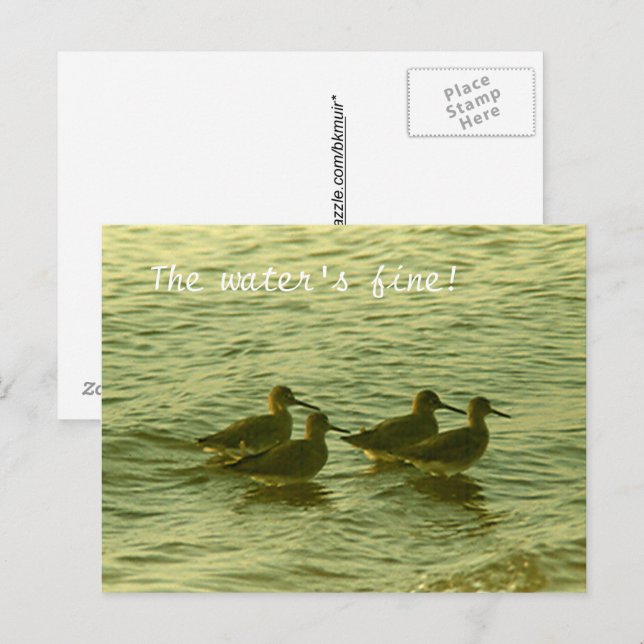 Carte postale - L'eau est superbe ! (Devant / Derrière)