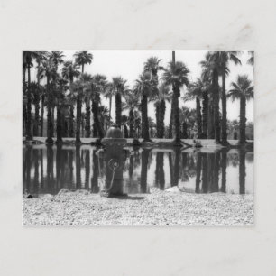 Carte Postale Leçons de natation