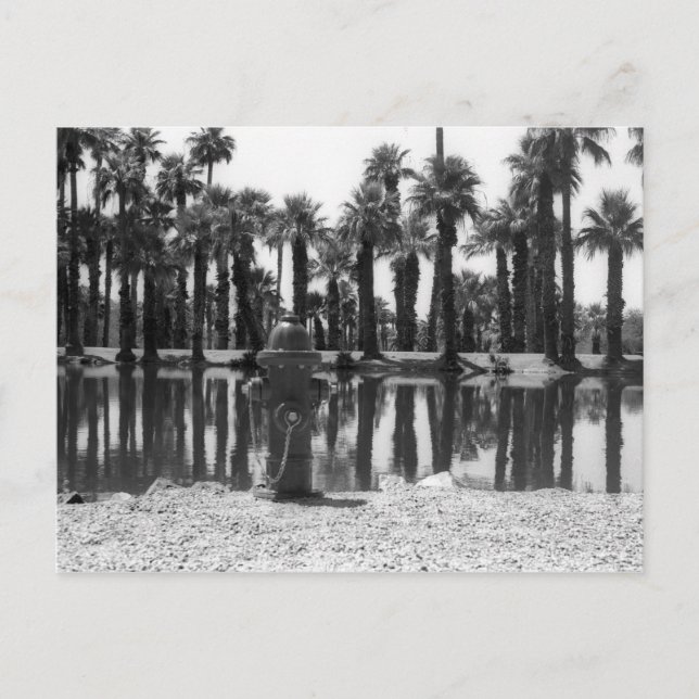 Carte Postale Leçons de natation (Devant)