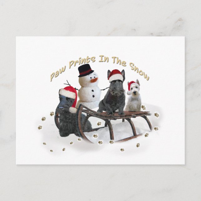 Carte Postale L'Ecosse Un Temps De Jeu (Devant)