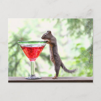 Carte Postale L'écureuil boit un cocktail
