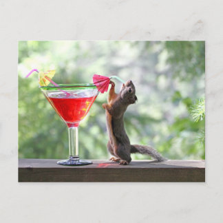 Carte Postale L'écureuil boit un cocktail à Happy Hour