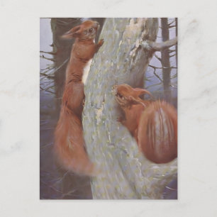 Carte Postale L'ÉCUREUIL (Sciurus vulgaris)