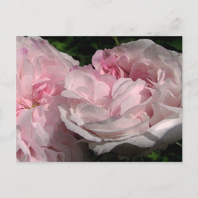 Carte postale Leda Rose Flower (Devant)