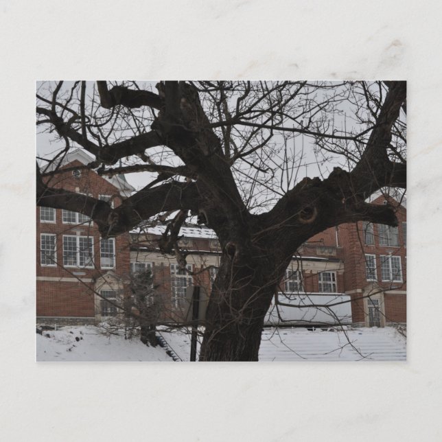 Carte Postale Lee High (Devant)