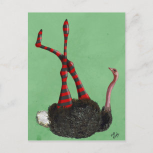 Carte Postale Leggings rayés d'autruche