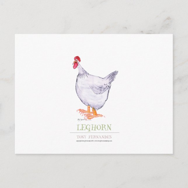 Carte Postale LEGHORN HEN, tony fernandes (Devant)