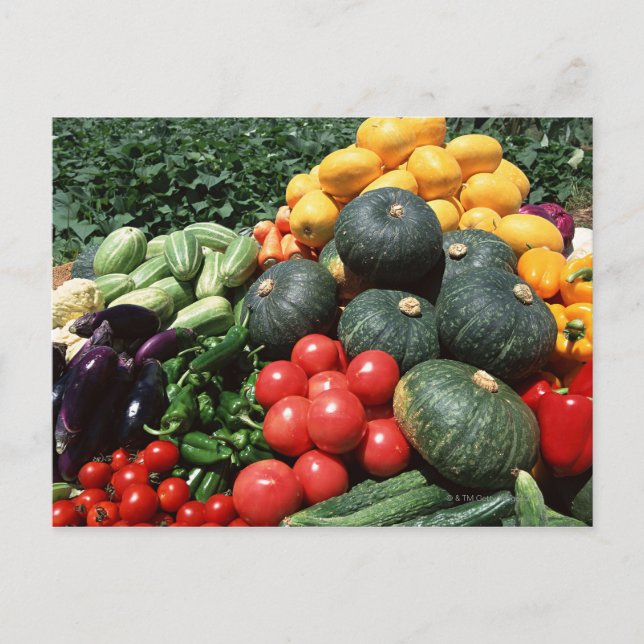Carte Postale Légumes 2 (Devant)
