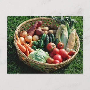 Carte Postale Légumes 5