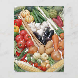 Carte Postale Légumes 6