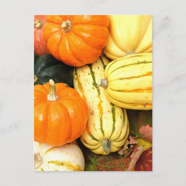 Carte Postale Légumes d'automne (Devant)