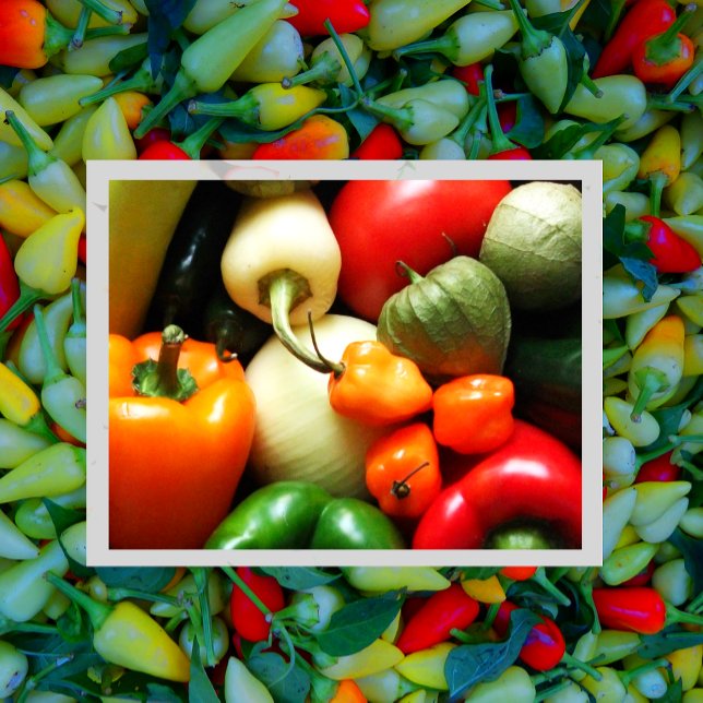 Carte Postale Légumes pour salsa, Tomate, Poivrons, Oignon (Créateur téléchargé)