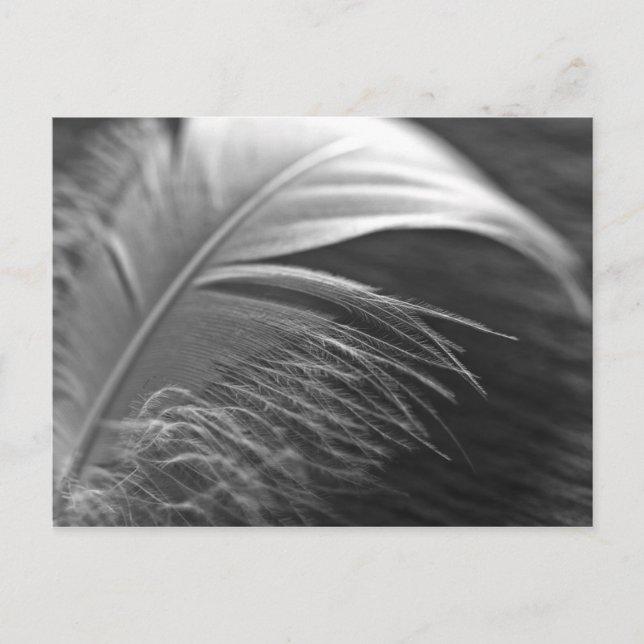 Carte Postale Leichtigkeit (Devant)