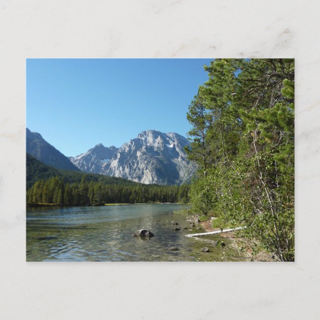 Carte Postale Leigh Lake, parc national de Grand Teton (Devant)