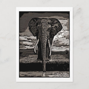 Carte Postale L'éléphant