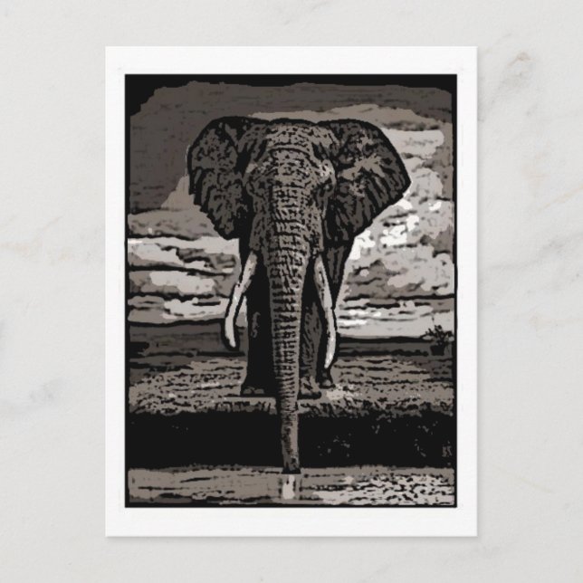 Carte Postale L'éléphant (Devant)