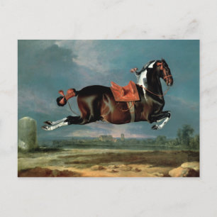 Carte Postale L'élevage du cheval "Cehero"