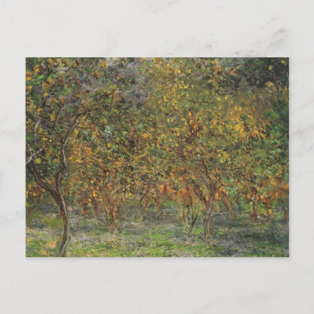 Carte Postale Lemon Grove à Bordighera par Claude Monet (Devant)