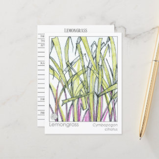 Carte Postale Lemongrass Herb Materia Medica Knowledge Card