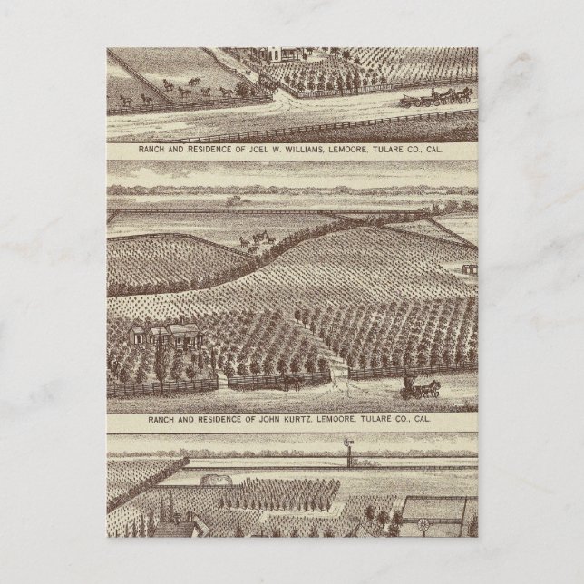 Carte Postale Lemoore, ranchs Armona (Devant)