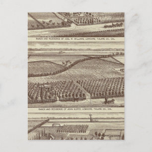 Carte Postale Lemoore, ranchs Armona