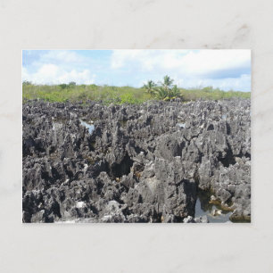 Carte Postale L'enfer dans les îles Grand Cayman