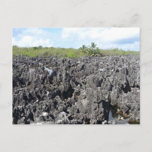 Carte Postale L'enfer dans les îles Grand Cayman (Devant)