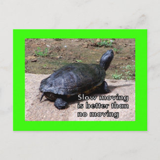 carte postale lente tortue