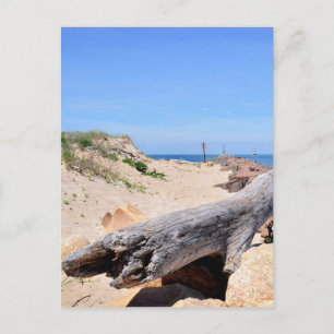 Carte Postale L'entrée au lac Montauk Point
