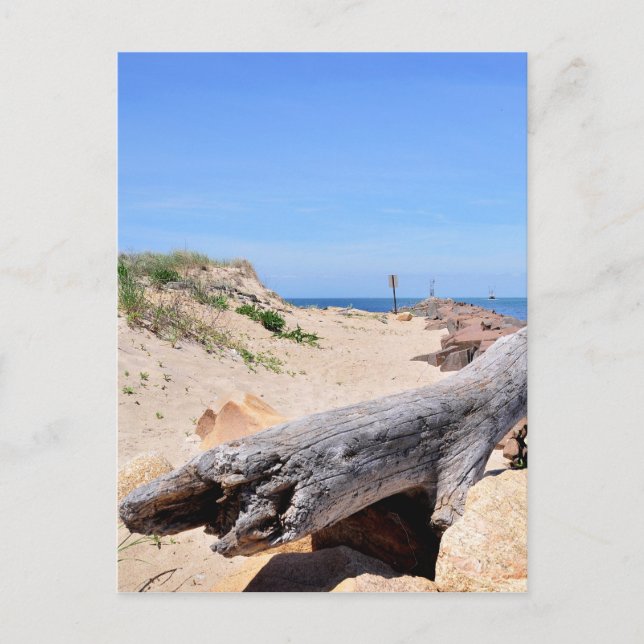 Carte Postale L'entrée au lac Montauk Point (Devant)