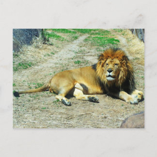 Carte Postale Leo