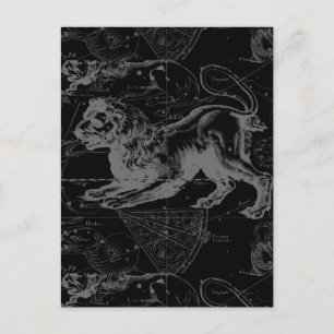 Carte Postale Leo Constellation Hevelius 1690 Décor